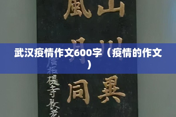 武汉疫情作文600字(疫情的作文) 武汉疫情作文600字(疫情的作文)