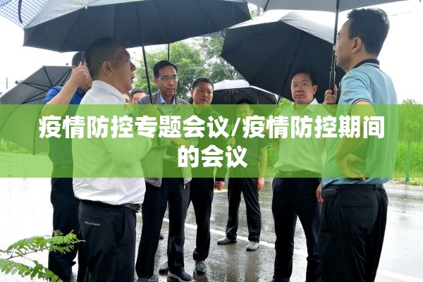 疫情防控专题会议/疫情防控期间的会议