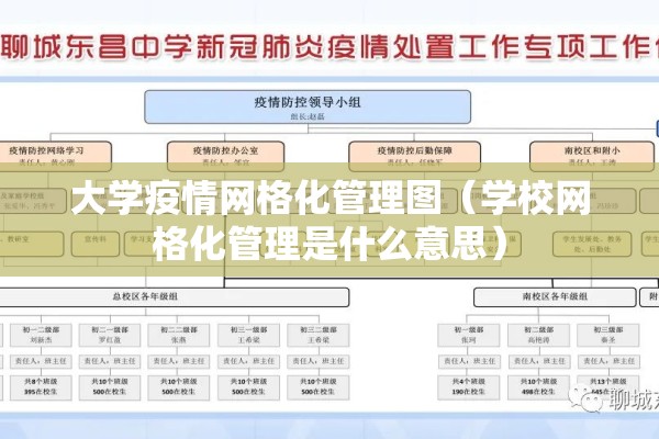 大学疫情网格化管理图（学校网格化管理是什么意思）