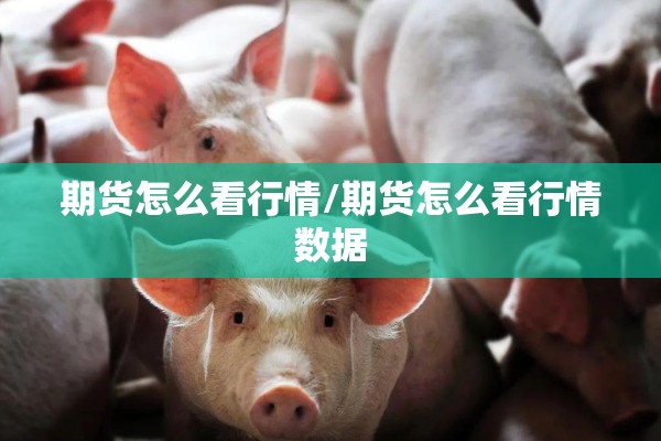 期货怎么看行情/期货怎么看行情数据 期货怎么看行情/期货怎么看行情数据
