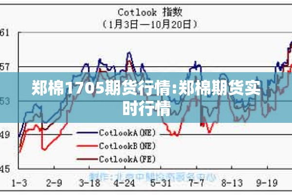 郑棉1705期货行情:郑棉期货实时行情