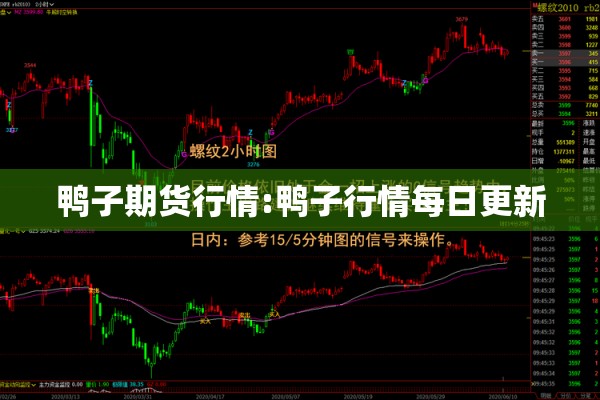 鸭子期货行情:鸭子行情每日更新 鸭子期货行情:鸭子行情每日更新
