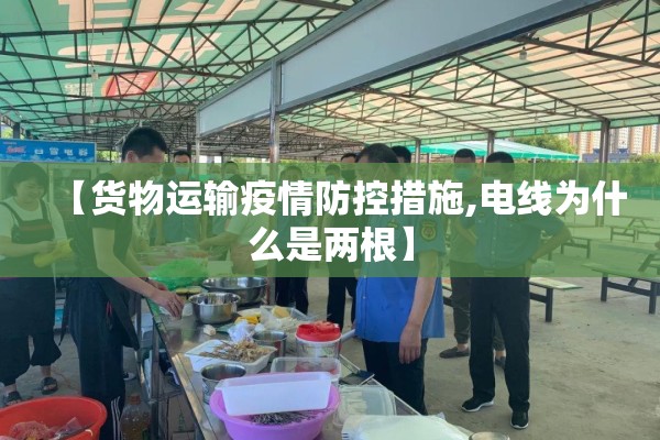 【货物运输疫情防控措施,电线为什么是两根】 【货物运输疫情防控措施,电线为什么是两根】