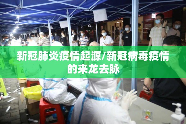 新冠肺炎疫情起源/新冠病毒疫情的来龙去脉 新冠肺炎疫情起源/新冠病毒疫情的来龙去脉