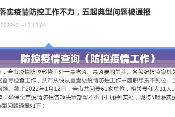 防控疫情查询（防控疫情工作）