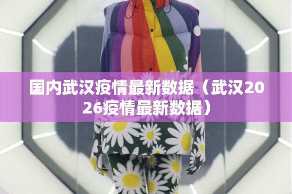 国内武汉疫情最新数据(武汉2026疫情最新数据) 国内武汉疫情最新数据(武汉2026疫情最新数据)