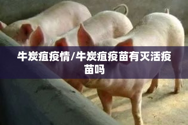 牛炭疽疫情/牛炭疽疫苗有灭活疫苗吗 牛炭疽疫情/牛炭疽疫苗有灭活疫苗吗