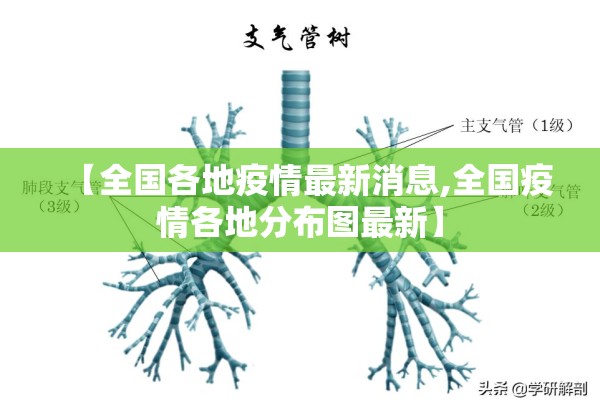 【全国各地疫情最新消息,全国疫情各地分布图最新】 【全国各地疫情最新消息,全国疫情各地分布图最新】