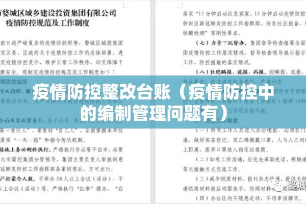 疫情防控整改台账（疫情防控中的编制管理问题有）