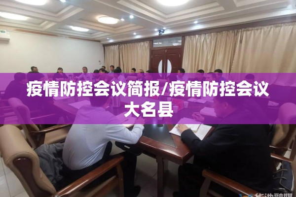 疫情防控会议简报/疫情防控会议大名县