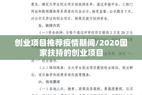 创业项目推荐疫情期间/2020国家扶持的创业项目 创业项目推荐疫情期间/2020国家扶持的创业项目