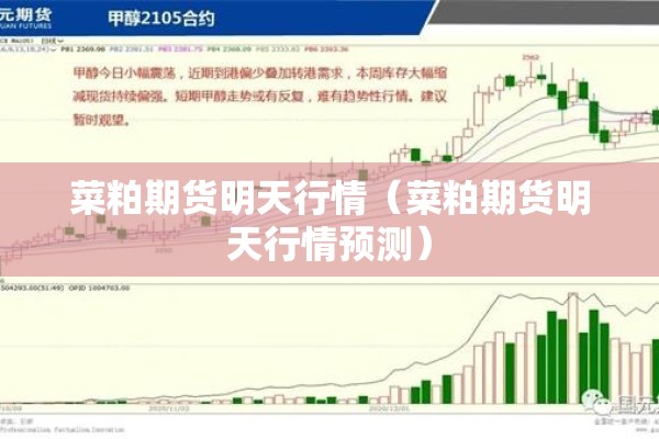 菜粕期货明天行情（菜粕期货明天行情预测）