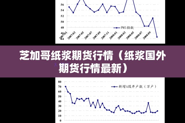 芝加哥纸浆期货行情（纸浆国外期货行情最新）