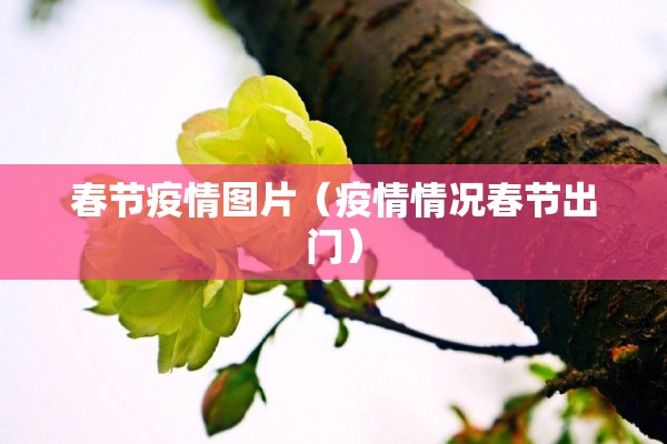 春节疫情图片(疫情情况春节出门) 春节疫情图片(疫情情况春节出门)