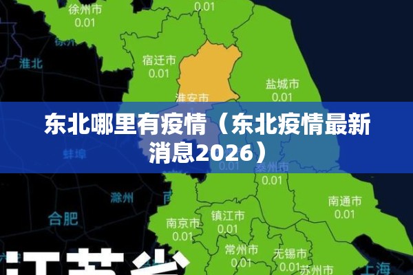 东北哪里有疫情（东北疫情最新消息2026）