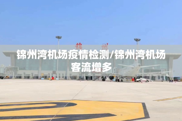 锦州湾机场疫情检测/锦州湾机场客流增多 锦州湾机场疫情检测/锦州湾机场客流增多