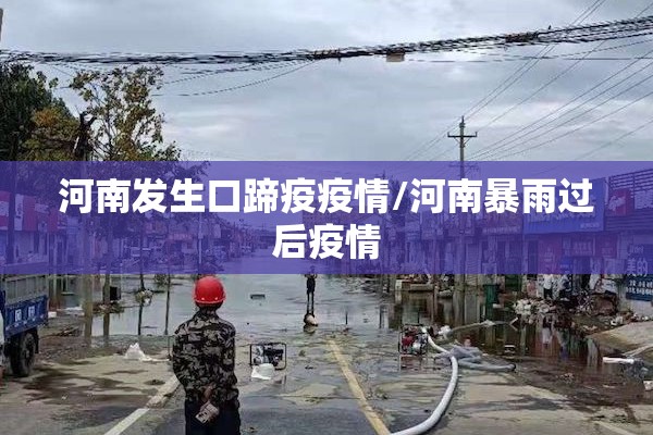 河南发生口蹄疫疫情/河南暴雨过后疫情