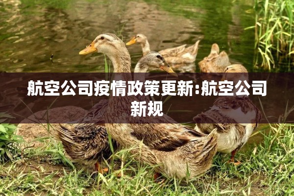 航空公司疫情政策更新:航空公司新规 航空公司疫情政策更新:航空公司新规