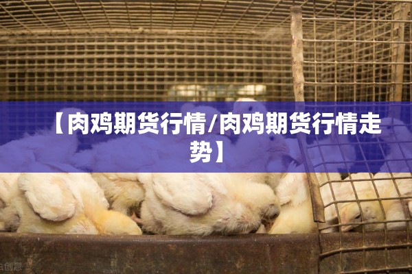 【肉鸡期货行情/肉鸡期货行情走势】