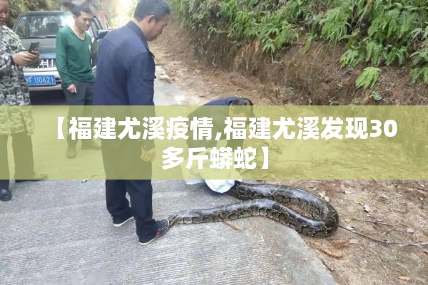 【福建尤溪疫情,福建尤溪发现30多斤蟒蛇】 【福建尤溪疫情,福建尤溪发现30多斤蟒蛇】