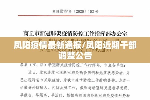 凤阳疫情最新通报/凤阳近期干部调整公告