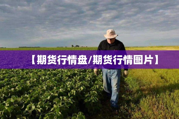 【期货行情盘/期货行情图片】 【期货行情盘/期货行情图片】