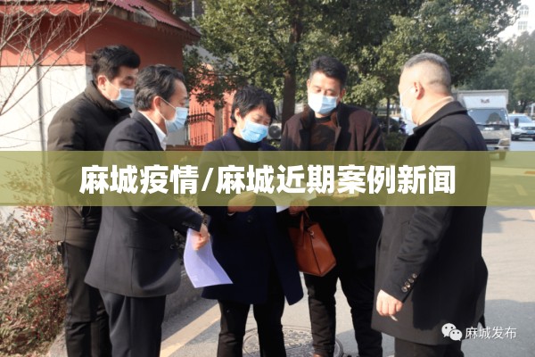 麻城疫情/麻城近期案例新闻 麻城疫情/麻城近期案例新闻