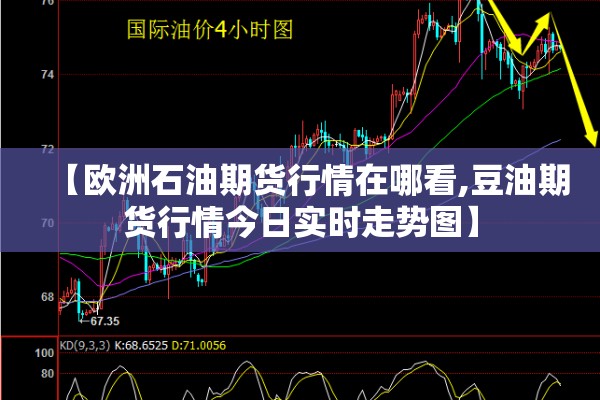 【欧洲石油期货行情在哪看,豆油期货行情今日实时走势图】