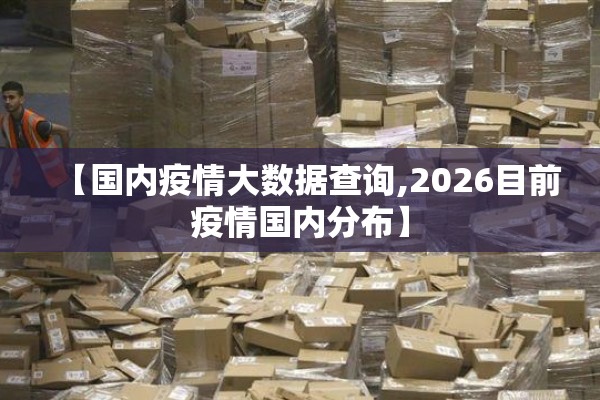 【国内疫情大数据查询,2026目前疫情国内分布】