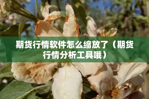 期货行情软件怎么缩放了（期货行情分析工具哦）