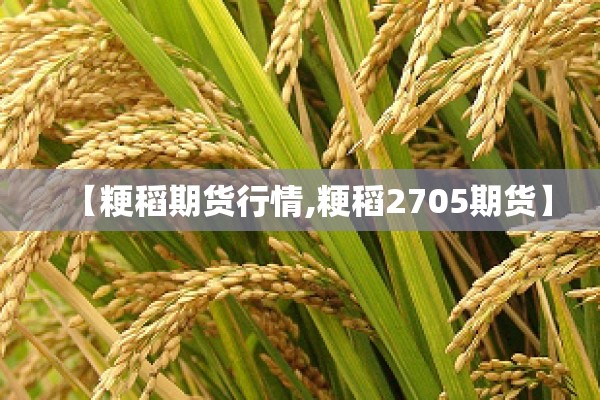 【粳稻期货行情,粳稻2705期货】