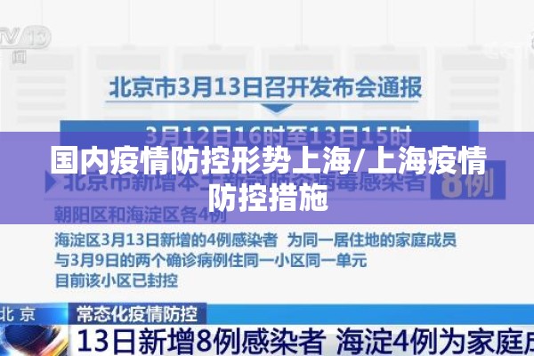国内疫情防控形势上海/上海疫情防控措施