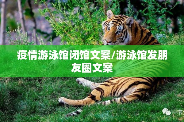 疫情游泳馆闭馆文案/游泳馆发朋友圈文案