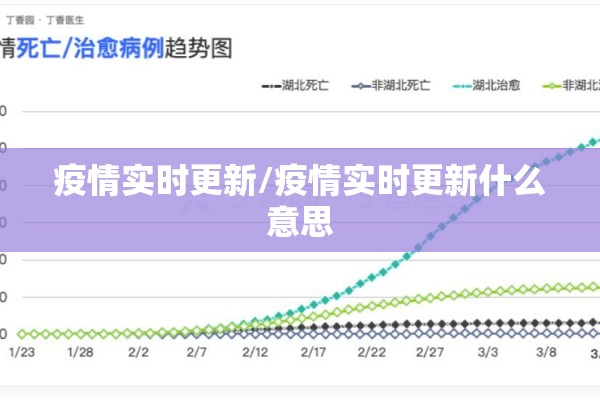 疫情实时更新/疫情实时更新什么意思