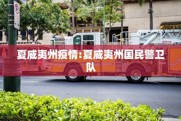 夏威夷州疫情:夏威夷州国民警卫队 夏威夷州疫情:夏威夷州国民警卫队