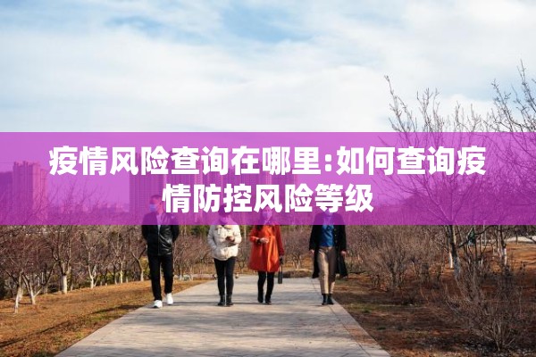 疫情风险查询在哪里:如何查询疫情防控风险等级