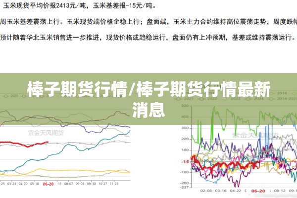 棒子期货行情/棒子期货行情最新消息 棒子期货行情/棒子期货行情最新消息