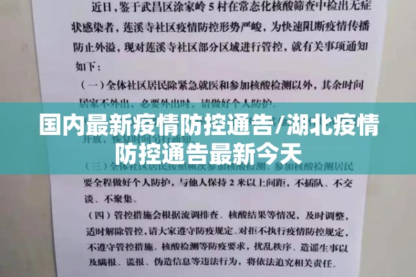 国内最新疫情防控通告/湖北疫情防控通告最新今天 国内最新疫情防控通告/湖北疫情防控通告最新今天