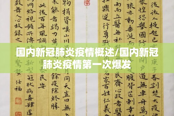 国内新冠肺炎疫情概述/国内新冠肺炎疫情第一次爆发 国内新冠肺炎疫情概述/国内新冠肺炎疫情第一次爆发