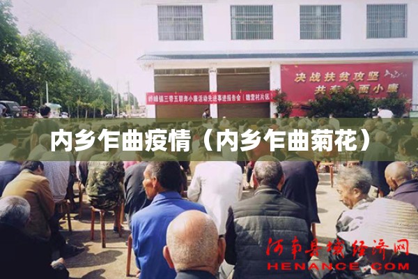 内乡乍曲疫情（内乡乍曲菊花）