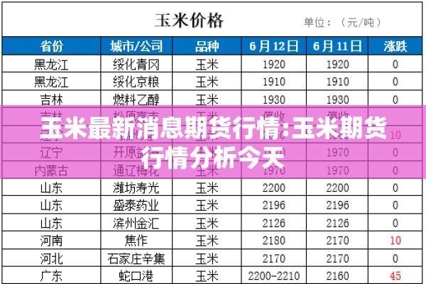 玉米最新消息期货行情:玉米期货行情分析今天