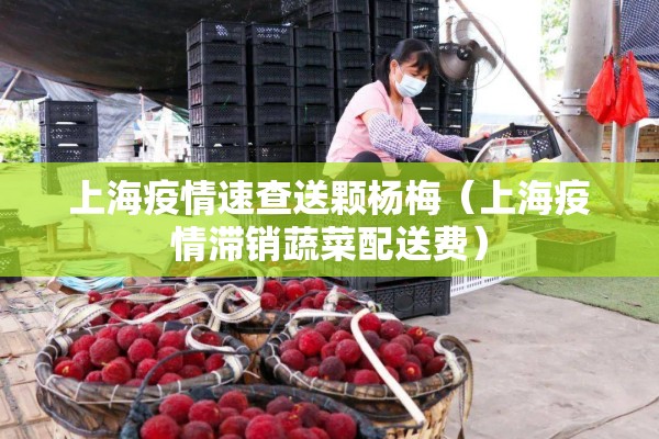 上海疫情速查送颗杨梅(上海疫情滞销蔬菜配送费) 上海疫情速查送颗杨梅(上海疫情滞销蔬菜配送费)