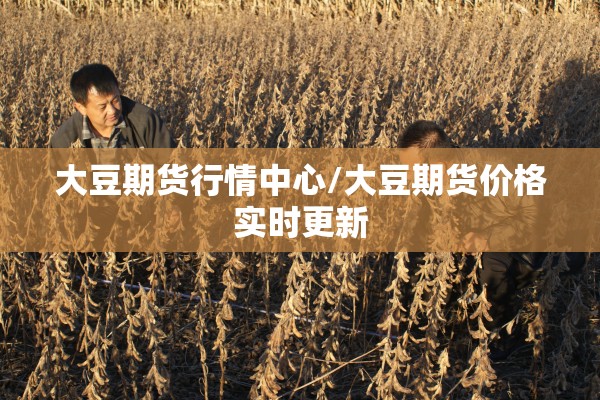 大豆期货行情中心/大豆期货价格实时更新 大豆期货行情中心/大豆期货价格实时更新