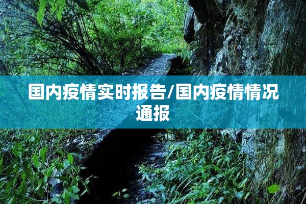 国内疫情实时报告/国内疫情情况通报