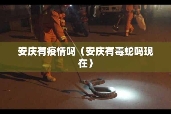安庆有疫情吗(安庆有毒蛇吗现在) 安庆有疫情吗(安庆有毒蛇吗现在)