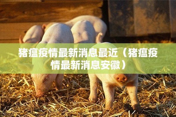 猪瘟疫情最新消息最近（猪瘟疫情最新消息安徽）