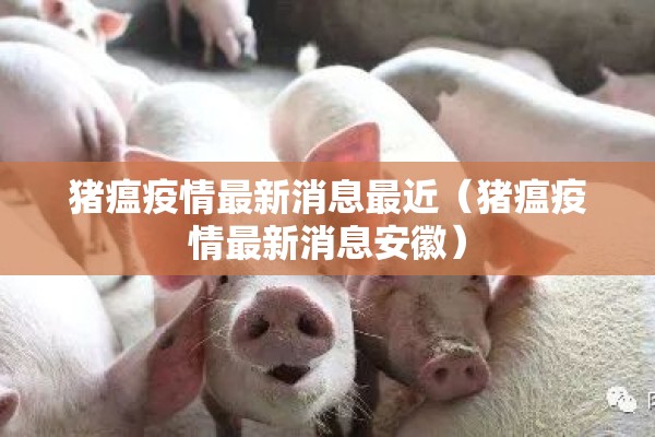 猪瘟疫情最新消息最近（猪瘟疫情最新消息安徽）