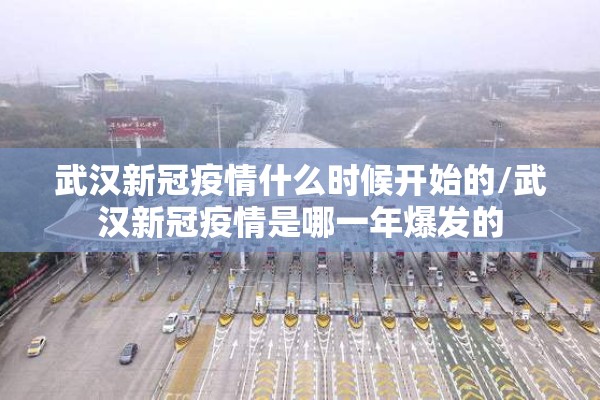 武汉新冠疫情什么时候开始的/武汉新冠疫情是哪一年爆发的
