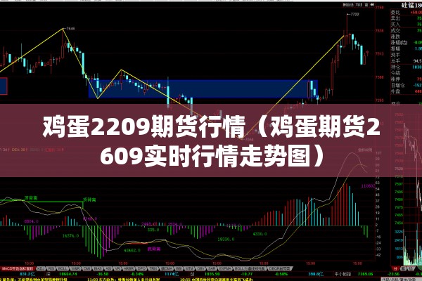 鸡蛋2209期货行情（鸡蛋期货2609实时行情走势图）
