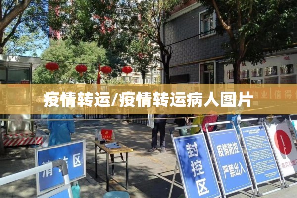 疫情转运/疫情转运病人图片 疫情转运/疫情转运病人图片